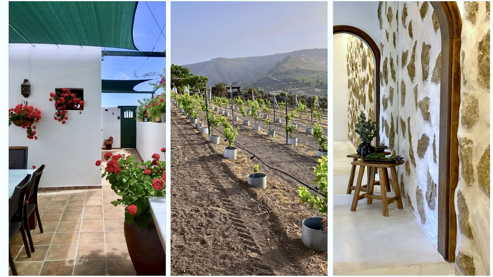 Finca El Pedregal — off-grid country estate